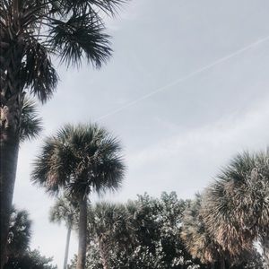 Meet your Posher, Vernagrace